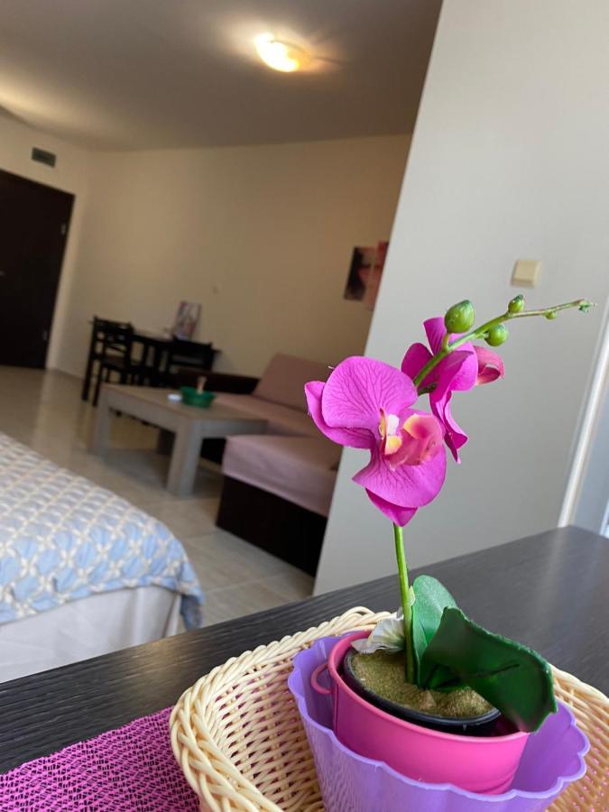Cozy Apartment Saint Sofia 써니비치 외부 사진